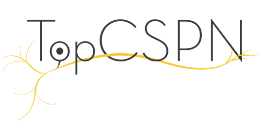 NN108 TopCSPN Topiramate as a Disease Altering Therapy for CSPN logo